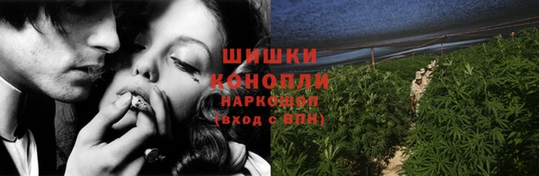 дмт Пересвет